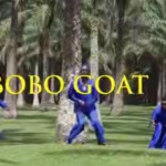 Meiway – Bobo Goat