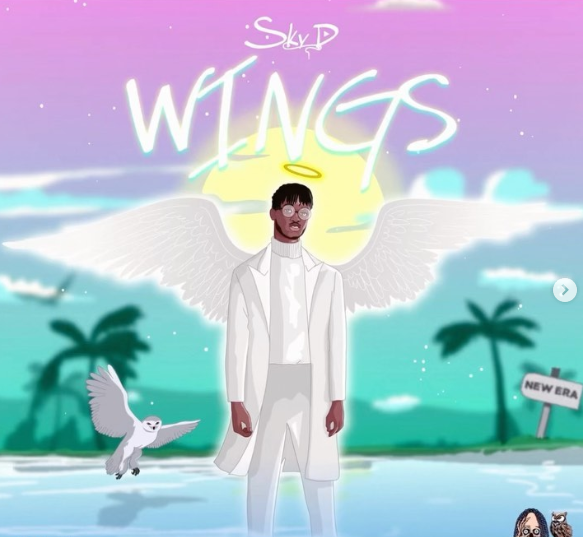 Sky D - Wings