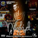 DJ Baddo – Best of Wizkid Mixtape (Old & New Songs Mix)