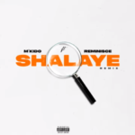 M'kido – Shalaye (Remix) ft. Reminisce