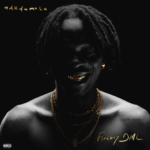 Fireboy DML - Ecstasy Ft Seun Kuti