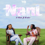 D Voice – Nani ft. Zuchu