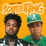 Tspykes - Something Something (Remix) Ft Shoday