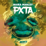 Naira Marley – Control The Crowd