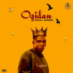 Small Singer - Ogidan