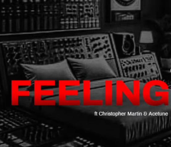 Rudeboy - Feeling Ft. Christopher Martin & Acetune