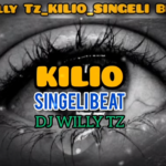 Dj Willy tz - Kilio Singeli Beat