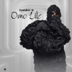 Danny S - Omo Lile