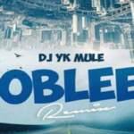 Dj Yk Mule – Oblee (Remix) Ft. Wizkid & Seyi Vibez