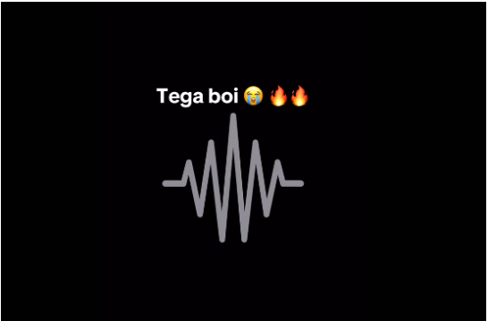 Tega Boi Dc – Grand Style Amapiano