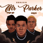 Skelvin - Mr Parker Ft. Smur Lee & Corizo