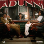 Rybeena - Adunni Ft. Joeboy