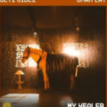 Seyi Vibez - My Healer Ft. Omah Lay